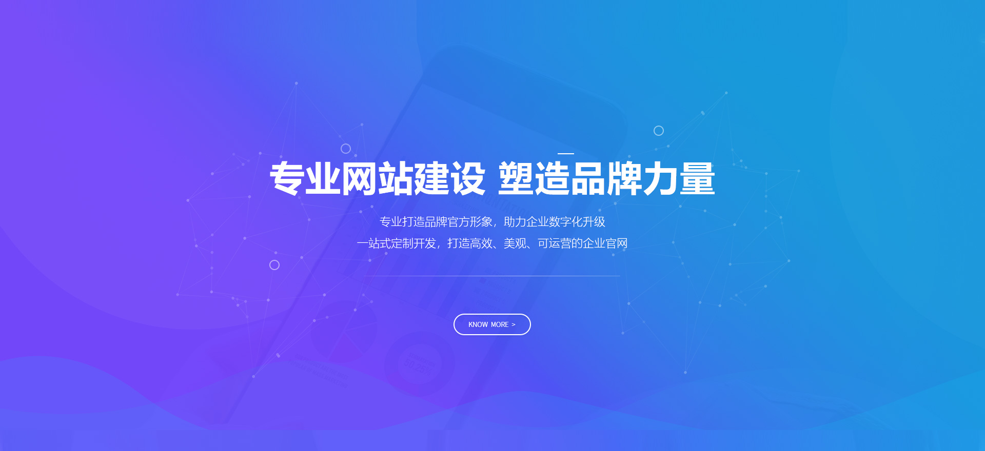 益阳建站-专业网站建设 塑造品牌力量
