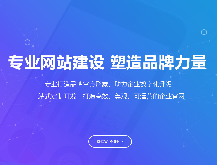 益阳建站-专业网站建设 塑造品牌力量